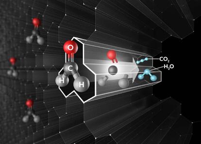 Proceso de transformación del formaldehído en CO2 y agua.