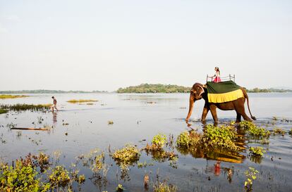Sí, la foto es preciosa pero si no nos paramos a pensar en las condiciones de esos animales o en el adiestramiento que han sufrido para interactuar con nosotros igual cambias de percepción.