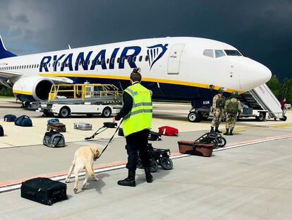 A Belarusian dog handler checks luggages off a Ryanair Boeing 737-8AS (flight number FR4978) parked on Minsk International Airport's apron in Minsk, on May 23, 2021. - Belarusian opposition Telegram channel Nexta said Sunday its former editor and exiled opposition activist Roman Protasevich had been detained at Minsk airport after his Lithuania-bound flight made an emergency landing. Protasevich was travelling aboard a Ryanair flight from Athens to Vilnius, which made an emergency landing following a bomb scare, TASS news agency reported citing the press service of Minsk airport. "The plane was checked, no bomb was found and all passengers were sent for another security search," Nexta said. "Among them was... Nexta journalist Roman Protasevich. He was detained." (Photo by - / ONLINER.BY / AFP) / RESTRICTED TO EDITORIAL USE - MANDATORY CREDIT "AFP PHOTO / ONLINER.BY " - NO MARKETING - NO ADVERTISING CAMPAIGNS - DISTRIBUTED AS A SERVICE TO CLIENTS