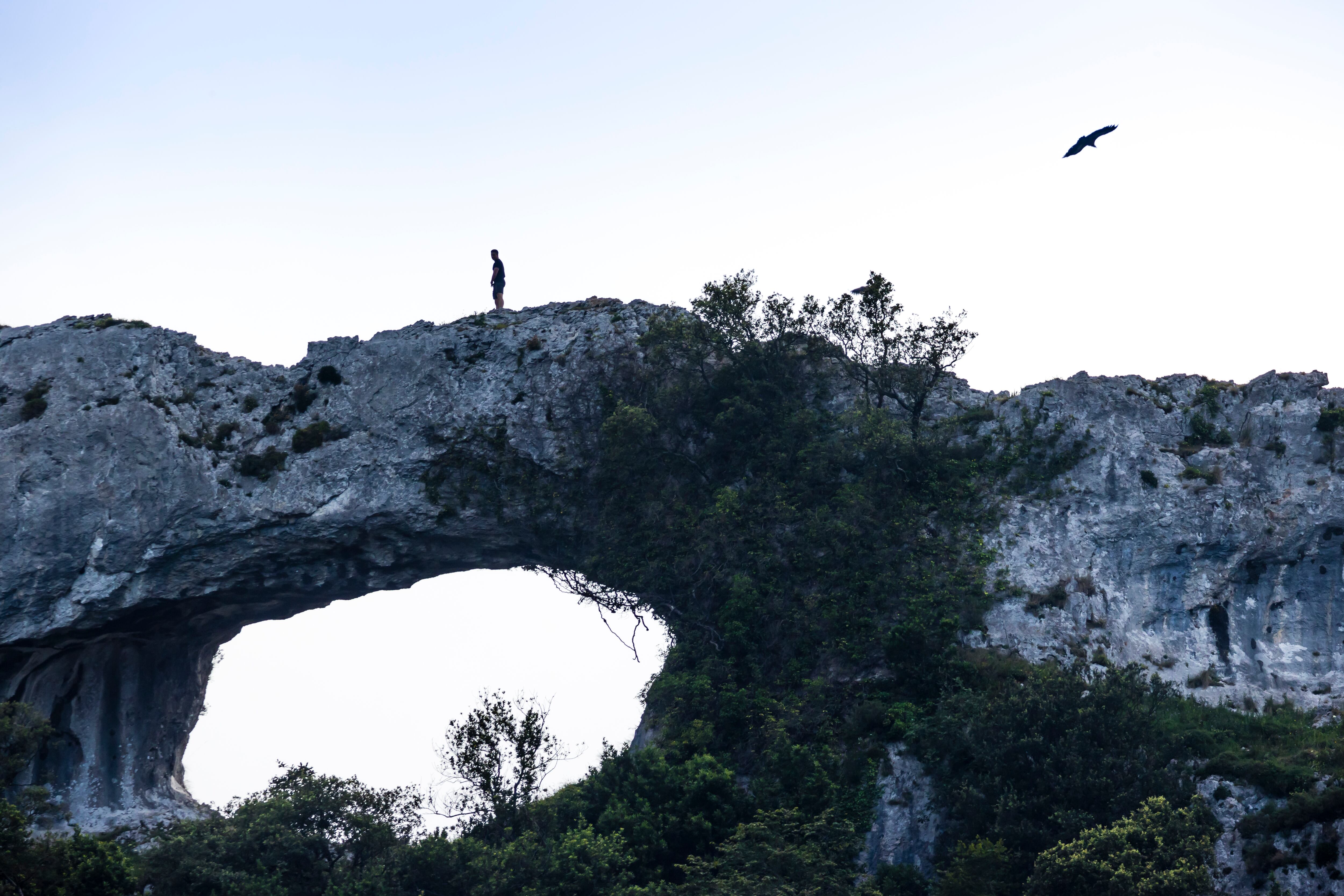 Un buitre leonado sobrevuela el Ojo del Diablo, un arco natural en la cima del monte Candina (Cantabria). 