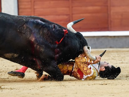 Momento en el que el segundo toro de la tarde le 'roba' el corbatín a Tomás Rufo.