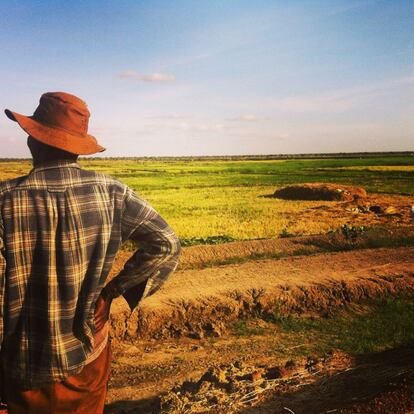 En Ndiawara, aldea al norte de Senegal, hay 820 habitantes. Viven de la agricultura —cultivan arroz, cebolla y alguna que otra verdura— y hay unos cinco pozos de los que sacan el agua. En la imagen, Elimah contempla los campos de arroz, su lugar de trabajo.