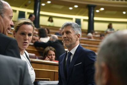 El ministro de Interior, Fernando Grande-Marlaska, en el pleno del Congreso con diputaos socialistas.