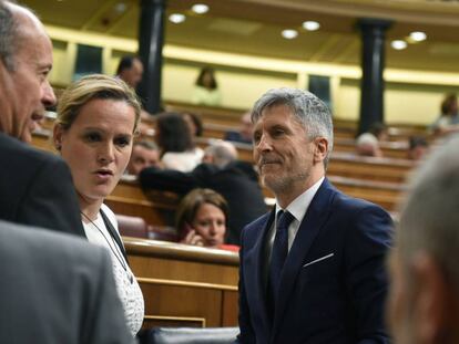 El ministro de Interior, Fernando Grande-Marlaska, en el pleno del Congreso con diputaos socialistas.