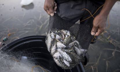 Un pescador, en Filipinas.