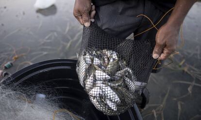 Un pescador, en Filipinas. 