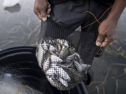 Um pescador, em Filipinas.