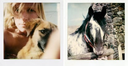 Un perro y un caballo fotografiados por Linda McCartney.