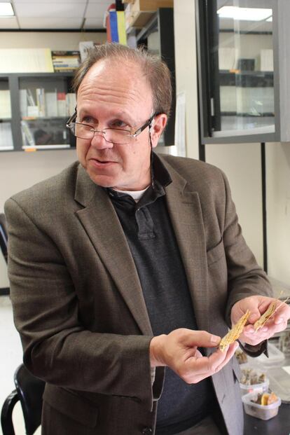 James Beasley, ecólogo de la Universidad de Georgia, es uno de los investigadores que está estudiando cómo la vida prolifera en ChernóbIl. Junto con un equipo internacional, empezó documentando los animales que habitan la Reserva Radioecológica mediante el estudio de huellas y el conteo desde helicópteros. Los resultados fueron prometedores y esto les llevó a instalar cámaras trampa con olores para atraer animales.