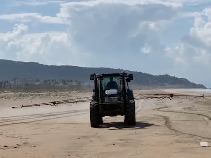 La localidad gaditana de Zahara de los Atunes decidió este pasado sábado desinfectar con agua y lejía sus playas por la crisis del coronavirus