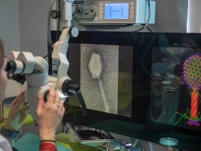 Microbiologist María del Mar Tomás inspects a sample of phages under a microscope at the A Coruña Hospital Complex (CHUAC).