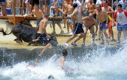 Fiestas de los 'bous a la mar' en la ciudad alicantina de Denia. Se trata de una celebración de interés turístico nacional en la que los participantes intentan tirar las vaquillas al agua, lo que ha generado numerosas críticas.