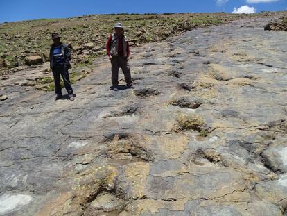 Científicos inspeccionan las huellas de dinosaurios en la comunidad de Humaca, en el departamento de Chuquisaca (Bolivia).