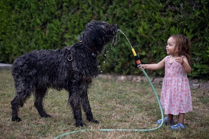 'Jana, con sus casi dos años, se refresca con su perro 'Truc' jugando con la manguera'. Estartit, Girona. 5 de julio de 2025.  