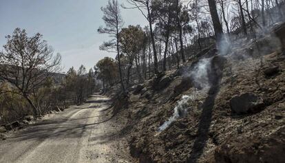 Una zona devastada por el fuego en las cercanias de Flix