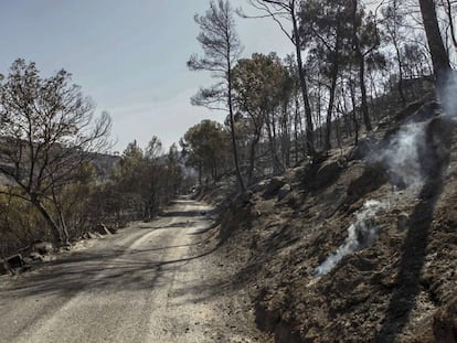 Una zona devastada por el fuego en las cercanias de Flix