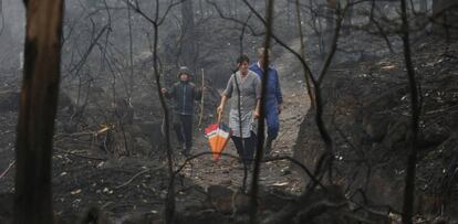 Varias personas caminan entre los &aacute;rboles quemados en Chandebrito, Galicia. 