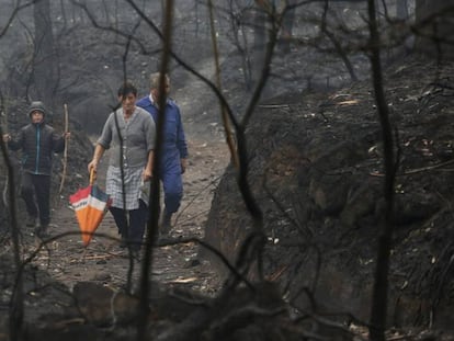 Varias personas caminan entre los &aacute;rboles quemados en Chandebrito, Galicia. 