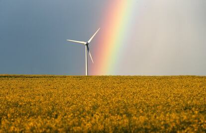 Un arcoíris sobre un campo de colza a las afueras de Wolfsburg (Alemania), el 13 de mayo de 2017.