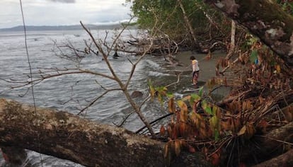 Una de las playas del parque de Cahuita, Costa Rica, afectada por las olas.
