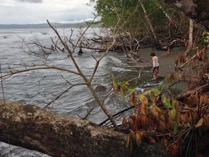 Una de las playas del parque de Cahuita, Costa Rica, afectada por las olas.