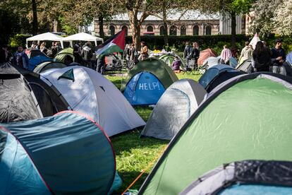 Estudiantes acampan en el campus de la Universidad de Copenhague, contra la operación militar de Israel en Gaza, este martes en Dinamarca.