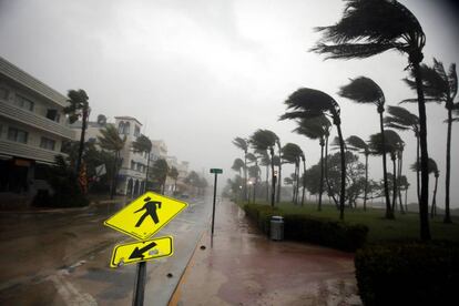 O vento do furacão golpeia as palmeiras na Ocean Drive, de Miami Beach (Flórida).