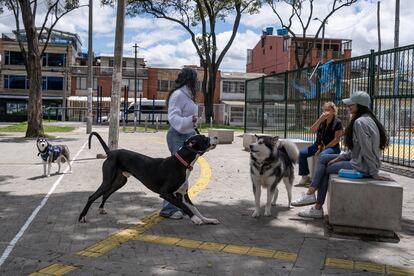 Nathalia Caballero conversa con otras dueñas de animales de compañía en Bogotá, el 22 de mayo de 2024.