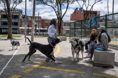 Nathalia Caballero conversa con otras dueñas de animales de compañía en Bogotá, el 22 de mayo de 2024. 