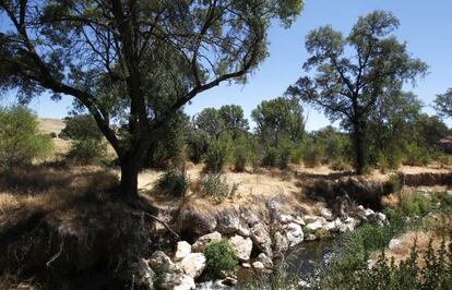 La finca El Tagarral, en Tres Cantos, fotografiada en julio de 2012.