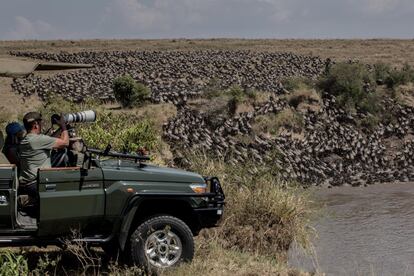 Pese al incremento de turistas locales desde principios de julio, muchos dudan que este mercado "low cost" (de bajo coste) pueda suplir los safaris —de miles de euros y unos 10 días de duración— contratados entre julio y octubre por viajeros americanos, chinos y británicos, entre otros.