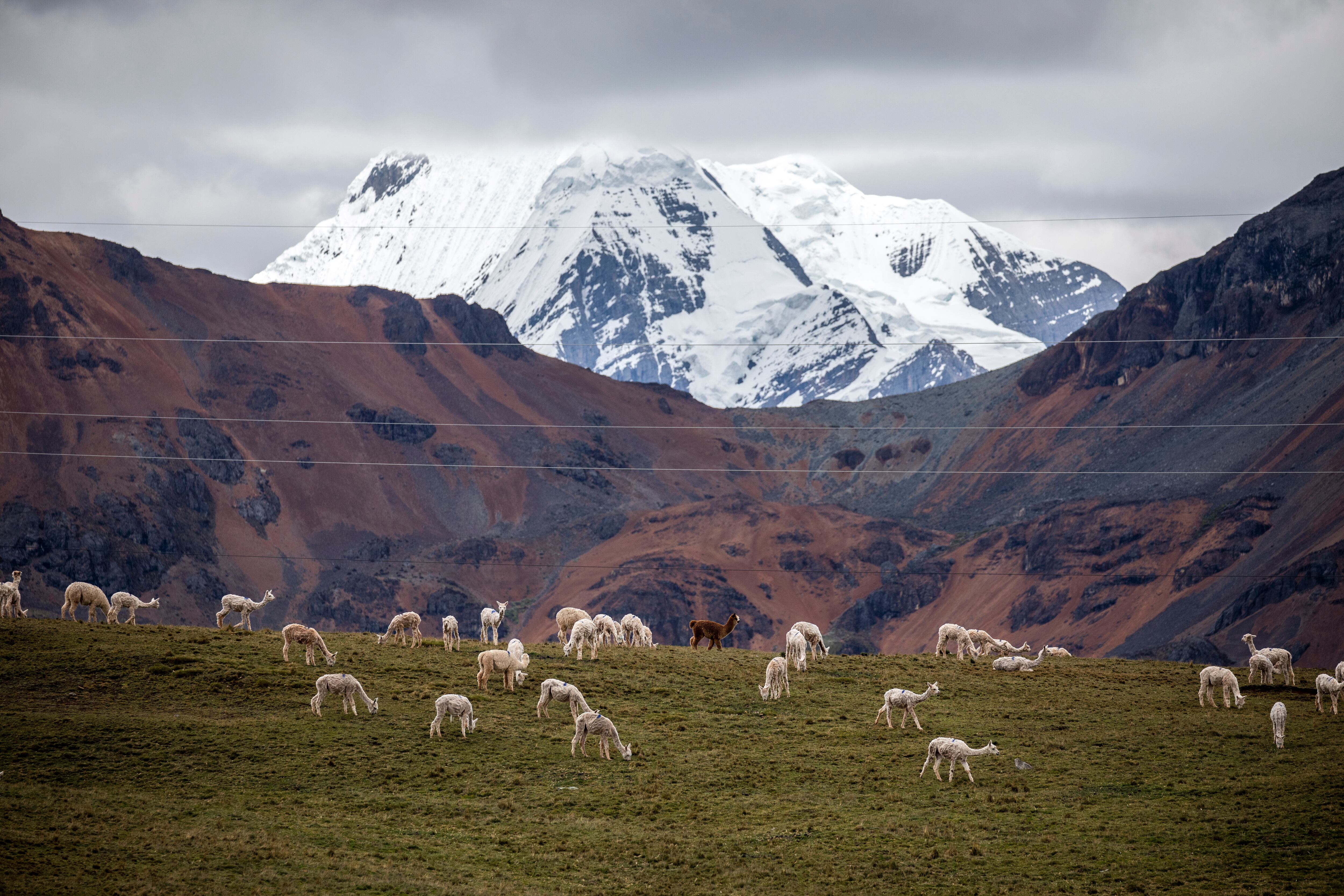 Imagen del nevado Santa Rosa en la cordillera de La Viuda. 