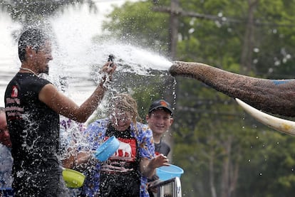 Elefante rocía con agua a varios turistas durante los preparativos para el Songkran, el Año Nuevo tailandés, conocido como el festival del agua en la ciudad de Ayutthaya,Tailandia.