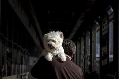 Un hombre camina con su perro en brazos por una calle de Manhattan, Nueva York.