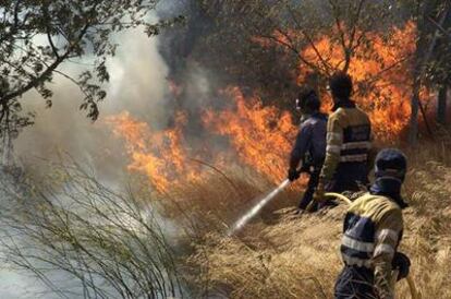 Varios bomberos intentan sofocar el incendio declarado en Capmany (Girona).
