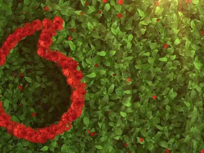 Vodafone y Microsoft se alían para la digitalización de las pymes