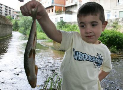 Un niño sostiene uno de los peces muertos en el río Barbaña, en el municipio orensano de San Cibrao.
