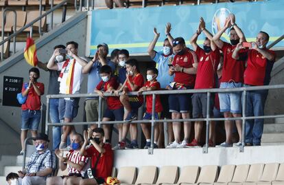 Aficionados de la Selección española animan a los de Luis Enrique en las gradas de La Cartuja (Sevilla).