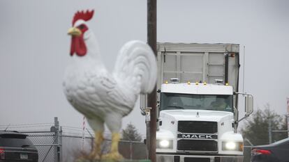 Un camión sale por la entrada de Cold Springs Eggs Farm, donde se informó que se descubrió la presencia de influenza aviar, en Wisconsin.