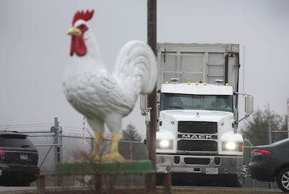 Un camión sale por la entrada de Cold Springs Eggs Farm, donde se informó que se descubrió la presencia de influenza aviar, en Wisconsin.