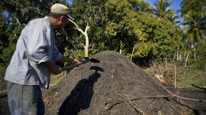 Elaboraci&oacute;n de carb&oacute;n vegetal a las afueras de La Habana.