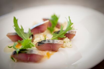 Ensalada de caballa y coliflor. 