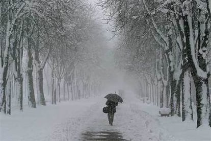 La nieve que cayó sobre Vitoria llegó a formar capas de hasta 30 centímetros de espesor.