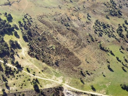 Aerial view of the site, which still bears marks of its former Roman theater shape.