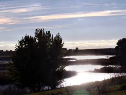 Vistas del recorrido del r&iacute;o Guadiana antes de las Tablas de Daimiel, entre el molino de Gri&ntilde;&oacute;n y el molino de Molemucho.