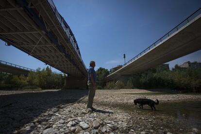 Un hombre camina con su perro debajo del puente avenida del Pilar.