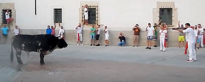 Un cazador, a punto de disparar a un toro en Coria (Cáceres)