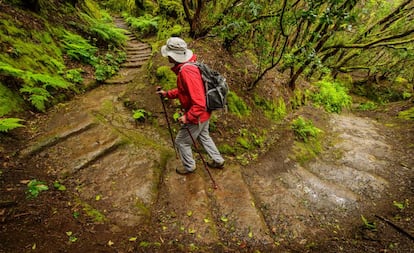 Una ruta senderista por el macizo de Anaga, en Tenerife.  