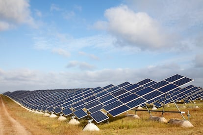 Varios paneles solares en Olivenza (Badajoz)