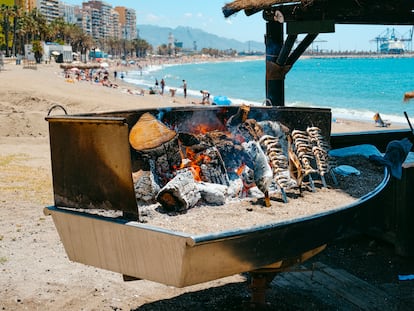 closeup of some different espetos, a kind of skewers where fish is skewered to cook over a wood fire, a traditional cooking method of Malaga, in La Malagueta beach, Malaga, Spain